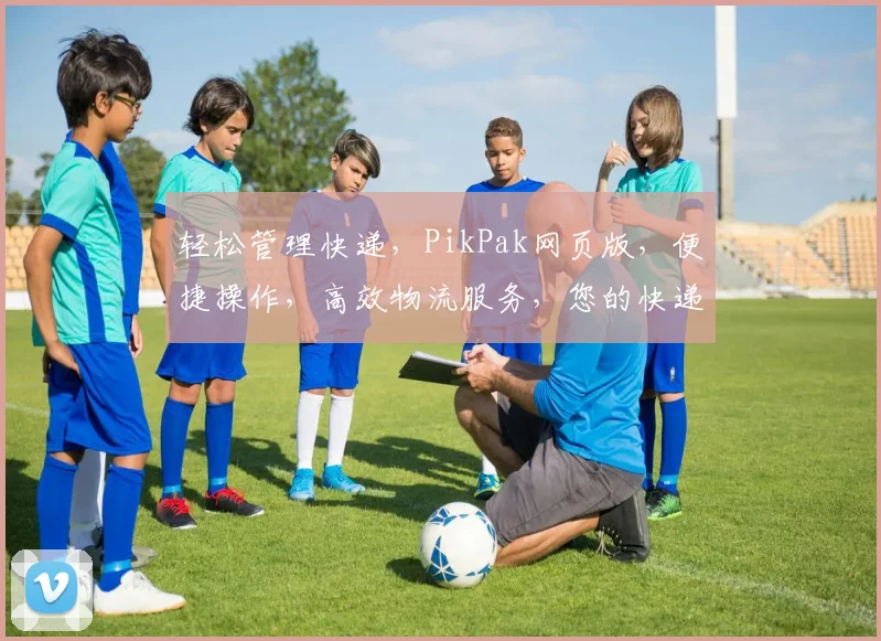 轻松管理快递，PikPak网页版，便捷操作，高效物流服务，您的快递好帮手，一触即达