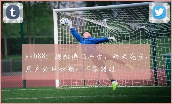 ysb88：揭秘热门平台，两大亮点，用户好评如潮，不容错过